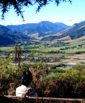 Mount Cook<br> 